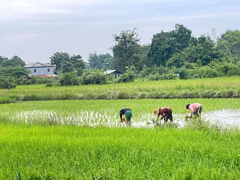 Battambang: Bamboo Train, Bat Cave and Killing Cave Tour - What the guiding is really worth
