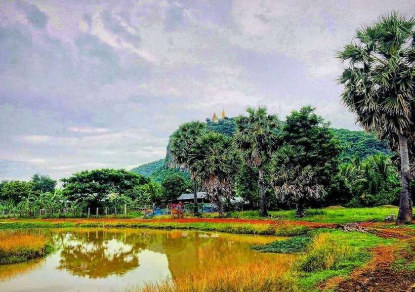 Battambang: Bamboo Train, Bat Cave, Killing Cave by Tuk Tuk - What the $5 bamboo train fee means for value