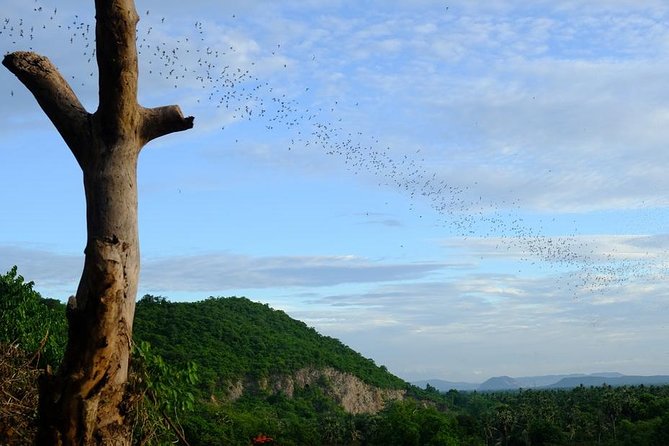 Battambang Full Day Tour from Siem Reap - Bamboo Train, Killing Cave & Sunset - Phnom Sampeau and the bat flight at sunset