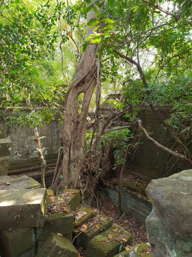 Beng Mealea, Koh Ker & Floating village Day Tour - A boat ride through Kompong Khleang