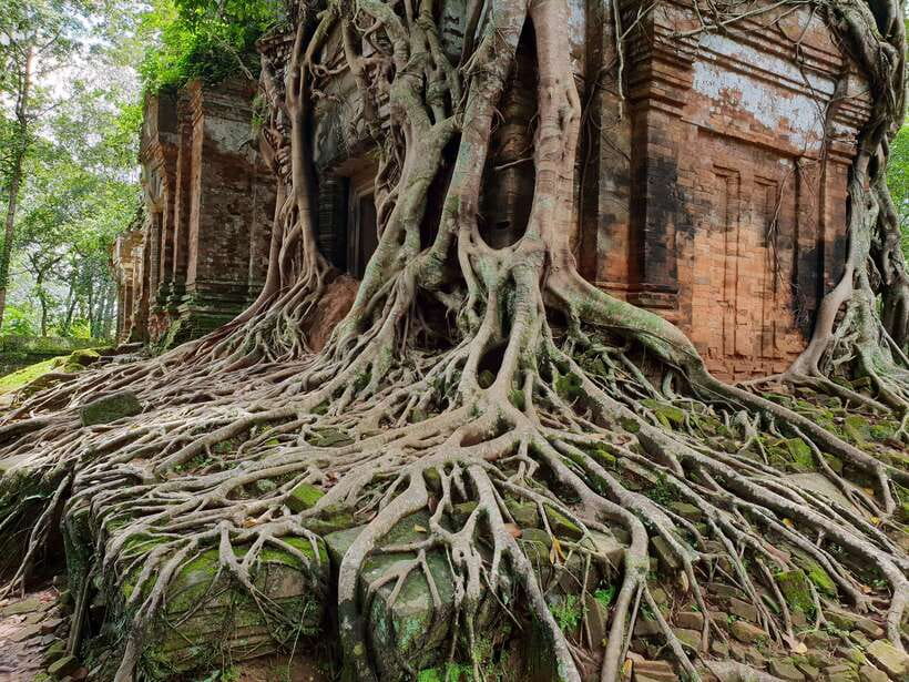 Beng Mealea, Koh Ker & Floating village Day Tour - Guides who add meaning to the stones