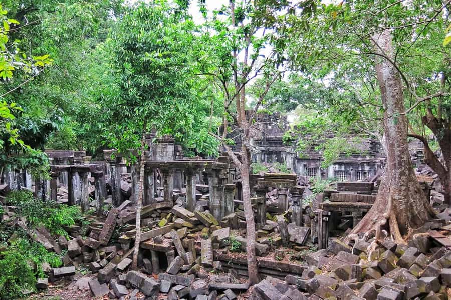 Beng Mealea & Koh Ker Temples Private Tour - Seeing Cambodian life between the temples