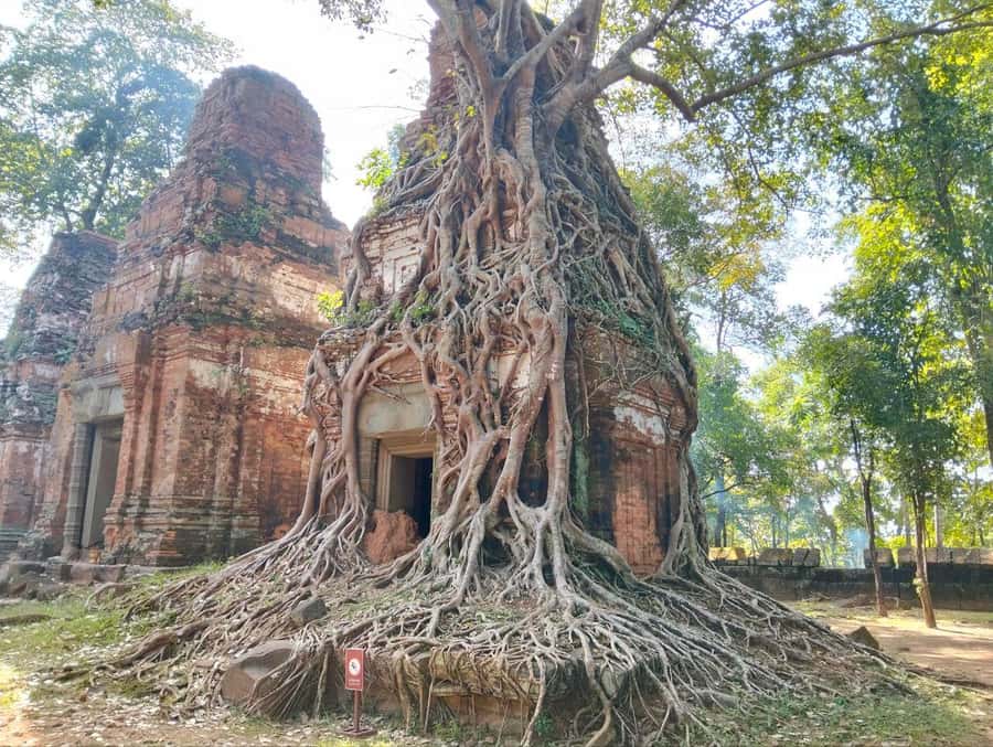 Beng Mealea & Koh Ker Temples Private Tour - What the guide adds to the day