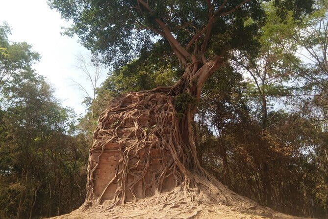 Best Driver Taxi From Siem Reap To Phnom Penh - English Speaking - Starting in Siem Reap with a simple hotel pickup