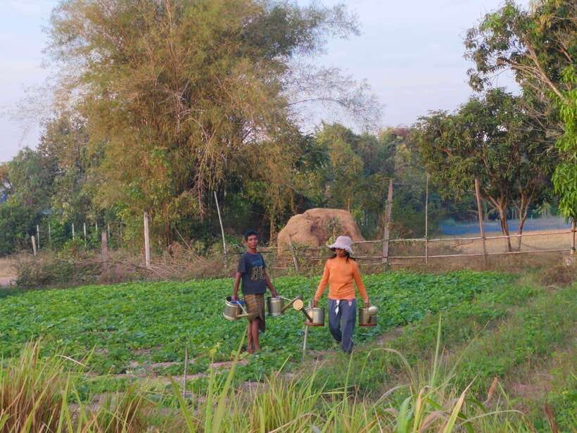 Cambodia Cooking Class, Oxcart Ride with Local Village Tour - What makes this Siem Reap experience special