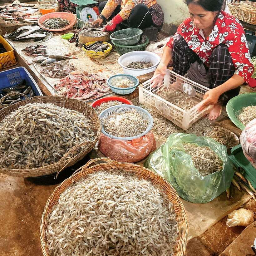 Cambodia Cooking Class, Oxcart Ride with Local Village Tour - Cooking Fish Amok and other Khmer dishes