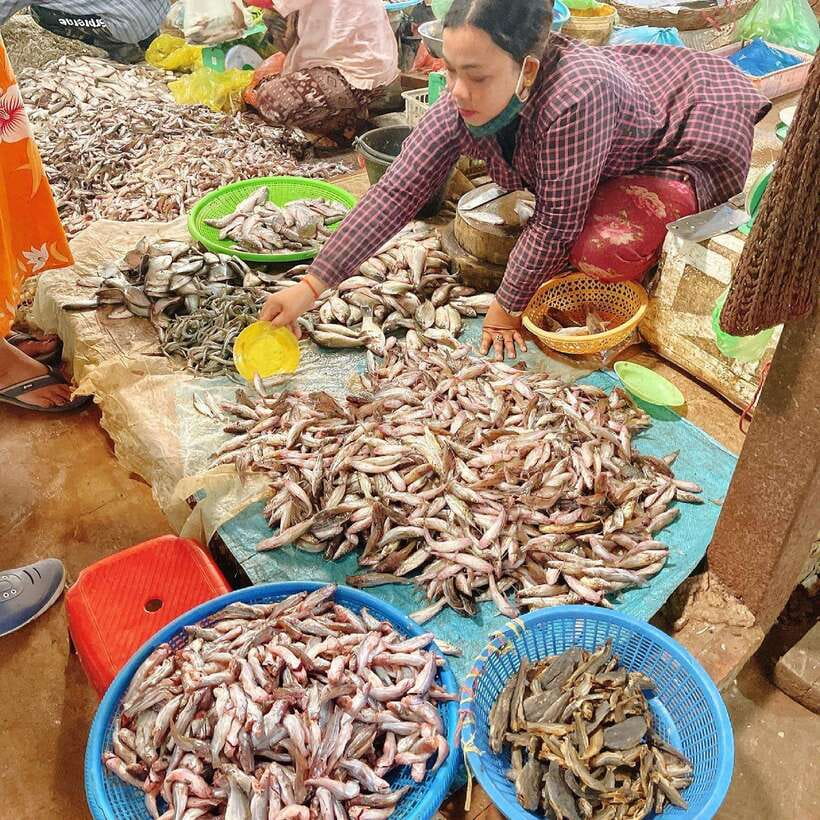 Cambodia Cooking Class, Oxcart Ride with Local Village Tour - A botanical garden bonus after the meal