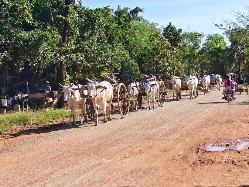 Cambodia Cooking Class, Oxcart Ride with Local Village Tour - Is $65 per person good value?