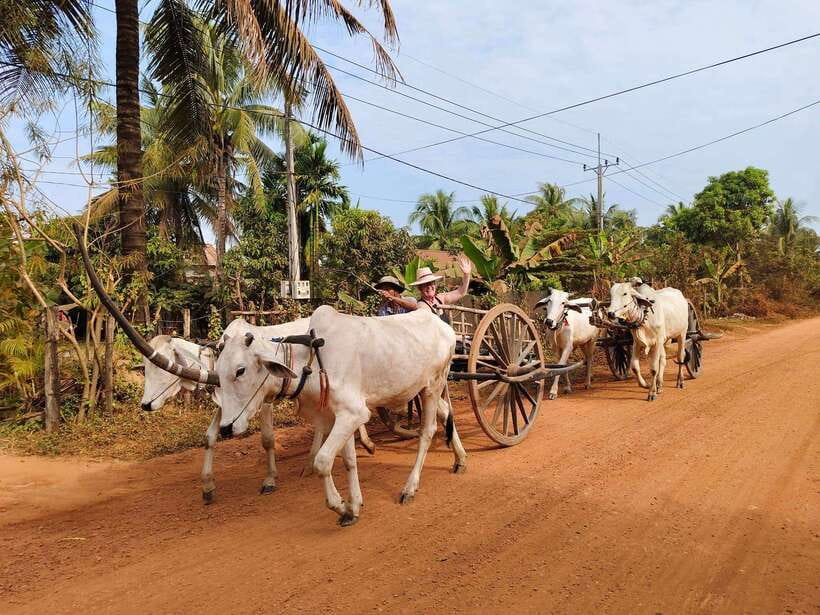 Cambodia Cooking Class, Oxcart Ride with Local Village Tour - Who should book this experience?