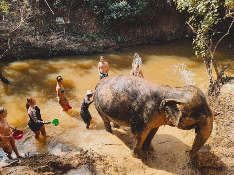 Cambodia Elephant Sanctuary and Banteay Srey Temple Tour - Why this Siem Reap combination works