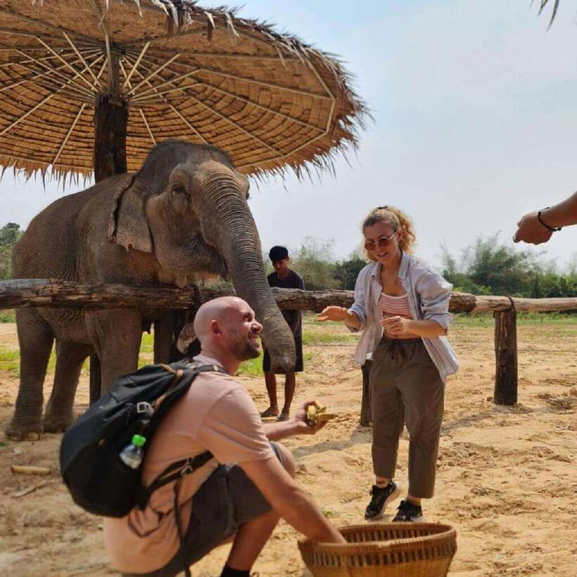 Cambodia Elephant Sanctuary and Banteay Srey Temple Tour - Banteay Srei and its pink sandstone details