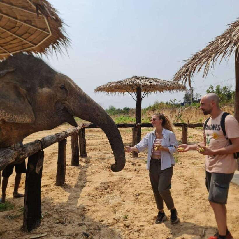 Cambodia Elephant Sanctuary and Banteay Srey Temple Tour - Is $71 a fair price?