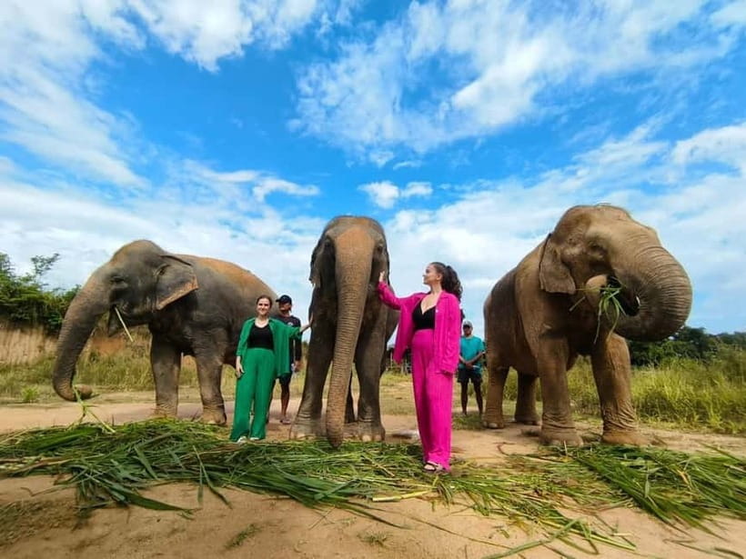 Cambodia Elephants Haft Day Experiences from Siem Reap - Why this elephant visit feels different