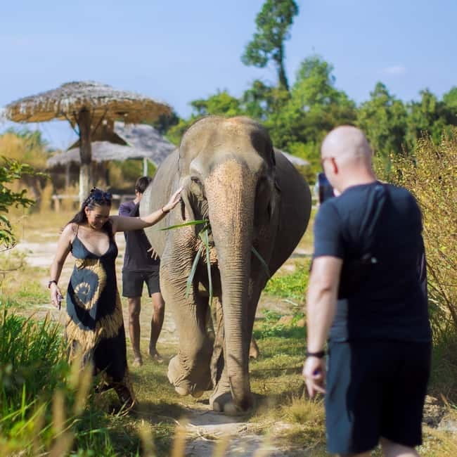 Cambodia Elephants Haft Day Experiences from Siem Reap - Preparing food for the elephants