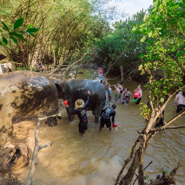 Cambodia Elephants Haft Day Experiences from Siem Reap - Bathing the elephants for 20 to 30 minutes