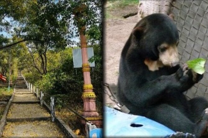 Cambodia Wildlife Sanctuary and Countryside Tour - Key points at a glance