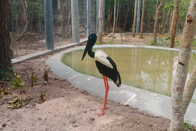 Cambodia Wildlife Sanctuary and Countryside Tour - The guide can shape the whole day
