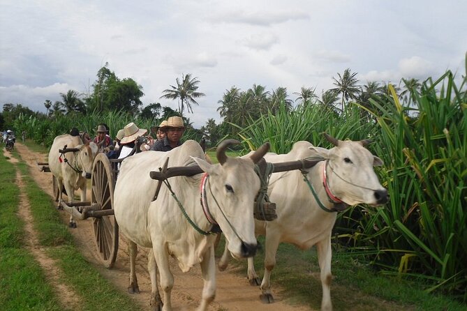 Cambodian Cooking Class and Oxcart Ride with Local Village Tour - Starting with a tuk-tuk pickup in Siem Reap