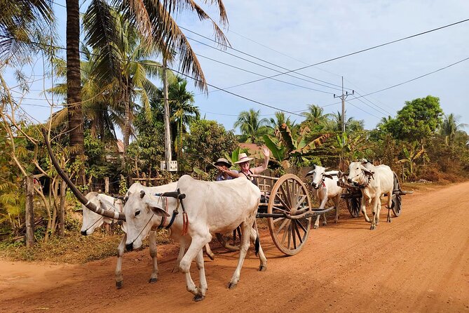 Cambodian Cooking Class and Oxcart Ride with Local Village Tour - Cooking three Khmer dishes at a family home