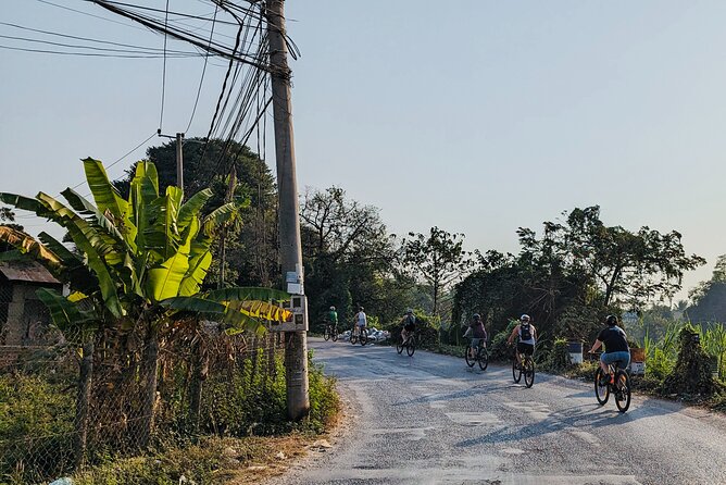 Customs and Culture Half Day Walk and Bike Tour in Battambang - A home-cooked Cambodian lunch with local meaning