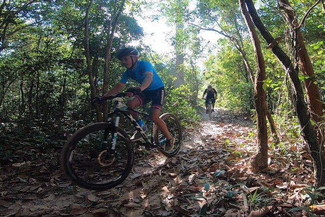 Cycling of the Angkor Temples include Lunch & Snacks - Group size, families, and the guide’s role