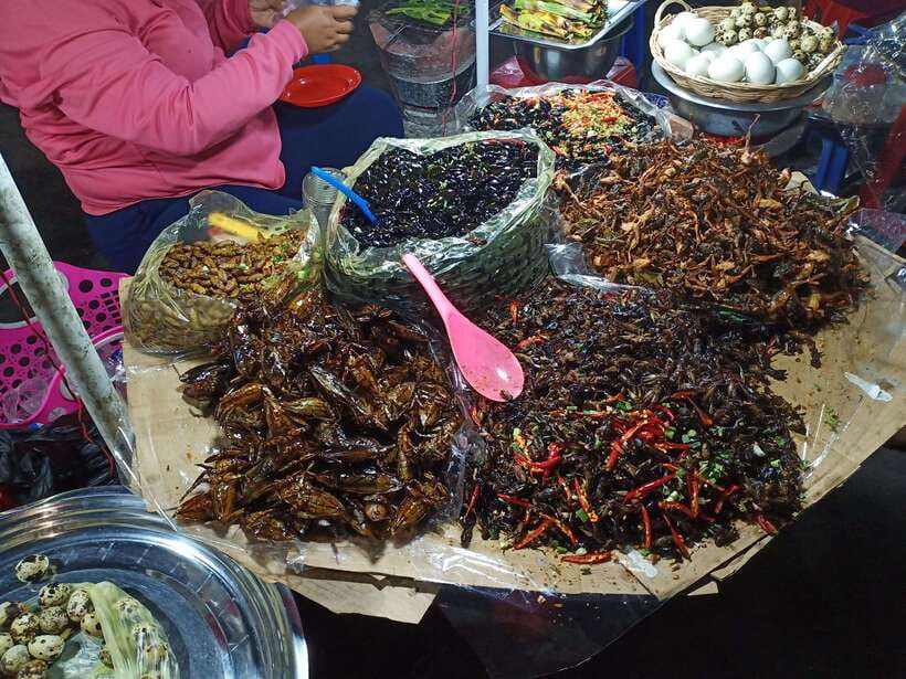 Day Trip to Sambor Preikuk, Kuhak Nokor & Spider Market - Who will enjoy this Cambodian day trip