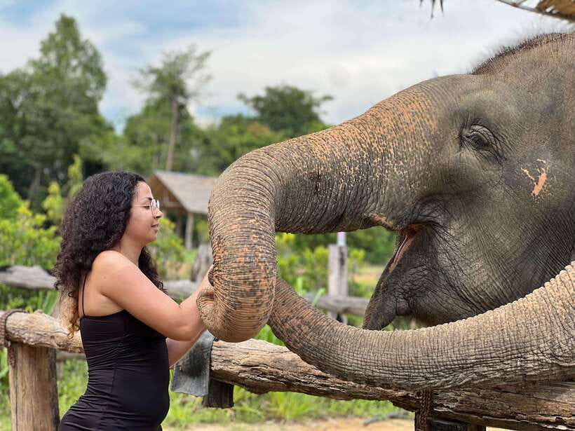 Elephant Sanctuary Cambodia, Pickup and drop off included - Key points to know before you book