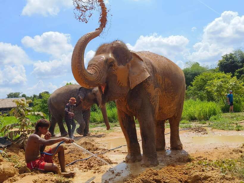 Elephant Sanctuary Cambodia, Pickup and drop off included - Is $58 a fair price?