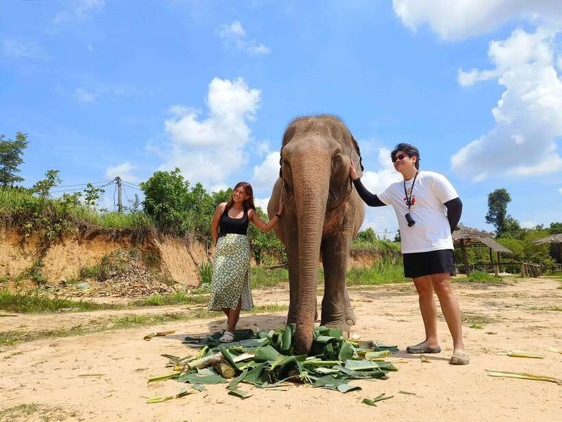 Elephant Sanctuary Cambodia, Pickup and drop off included - Who will enjoy this elephant experience?
