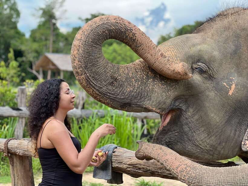Elephant Sanctuary Cambodia, Pickup and drop off included - Meeting the elephants and learning their stories