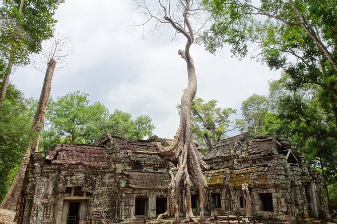 Explore Angkor Wat and Ta Phrom in depth - Clothing, sun protection, and what to bring