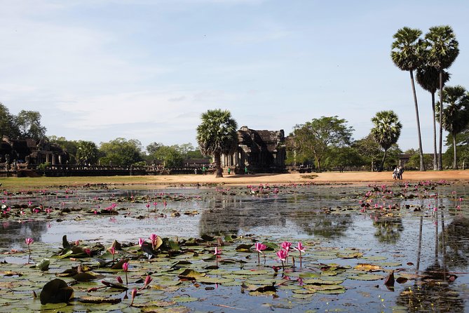 Explore Angkor Wat and Ta Phrom in depth - Who will get the most from this tour