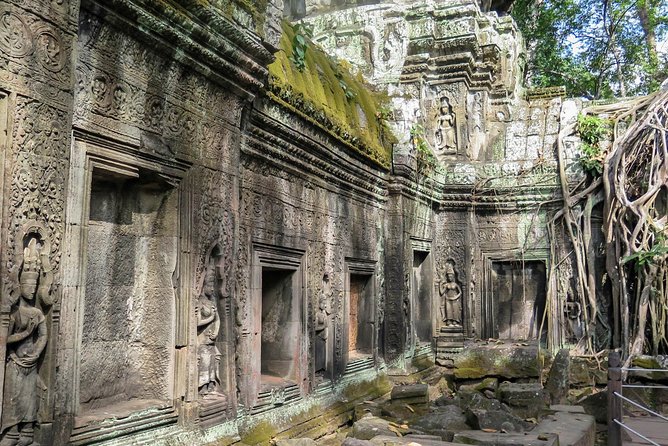 Explore Angkor Wat and Ta Phrom in depth - Ta Prohm and the trees that took back the stones