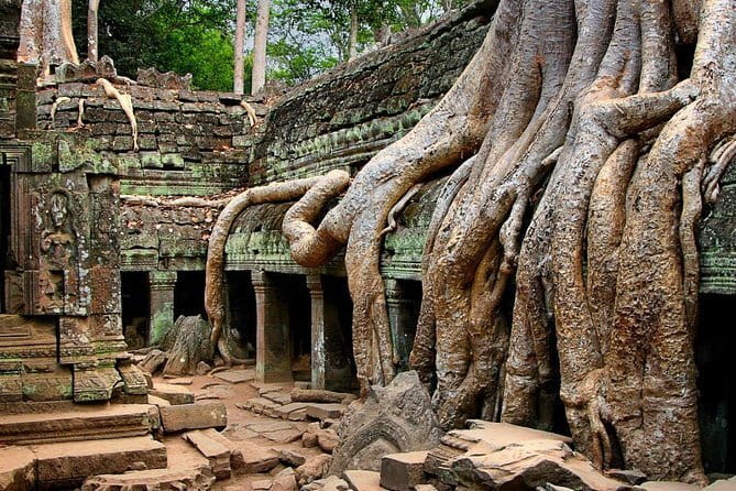 Explore Angkor Wat Sunset Watching Private Experience - What the $97.44 private tour gives you