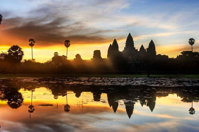 Explore Angkor Wat Sunset Watching Private Experience - Ta Prohm and the power of the trees