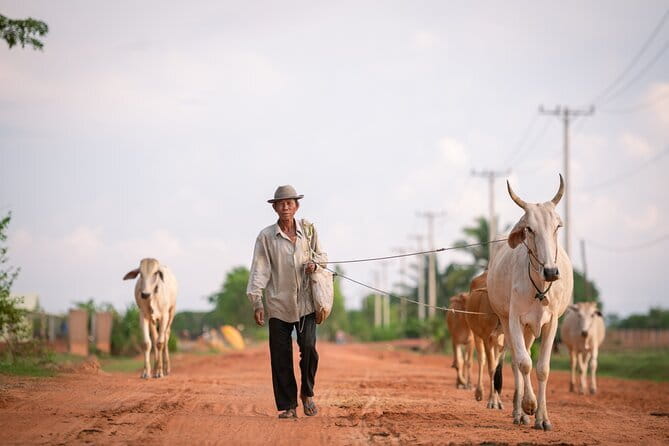 Explore the real Siem Reap Cambodia with a local guide - Key Points Before You Book