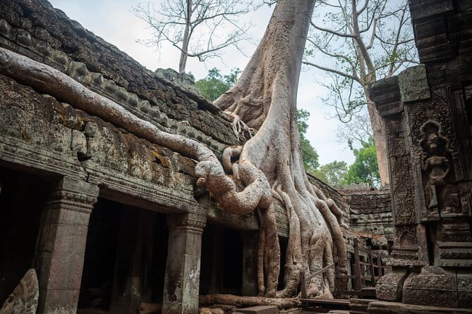 Explore the real Siem Reap Cambodia with a local guide - Why This Tour Works for a First Siem Reap Visit