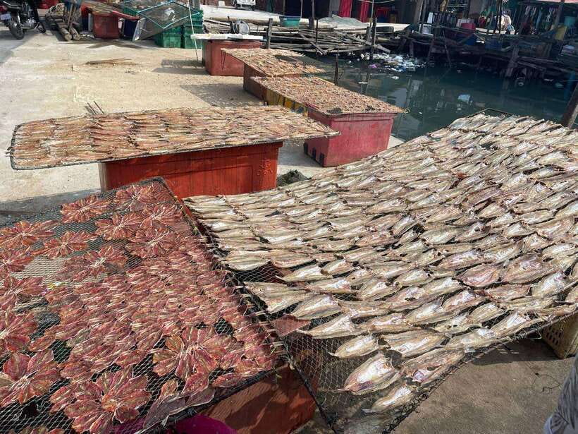 Exploring Sihanoukville: Shore Excursions from Cruise Ports - Who should book this shore excursion?