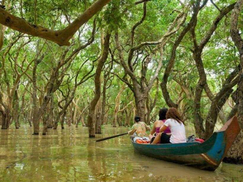 Floating Village-Mangroves Forest Tonle Sap Lake Boat Tour - Why Kampong Phluk feels different from a normal village visit