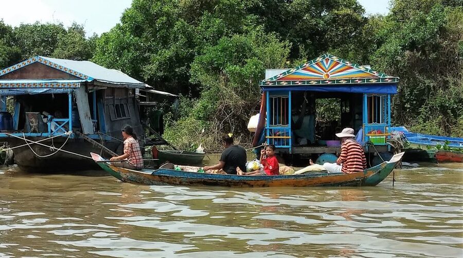 Floating Village-Mangroves Forest Tonle Sap Lake Boat Tour - The mangrove swamp is the day’s best natural stop