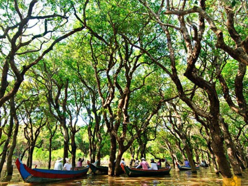 Floating Village-Mangroves Forest Tonle Sap Lake Boat Tour - What the afternoon adds beyond the lake