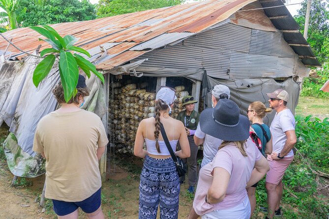 Floating Village Sunset Boat & Jeep Tour - Inclusive Drinks - Wat Po Banteaychey: mushrooms and Cambodian rice wine
