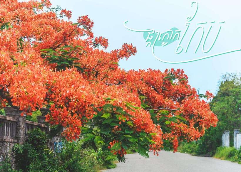 From Phnom Penh: Kampot and Kep Day Trip with English Guide - How much Kampot will you actually see?