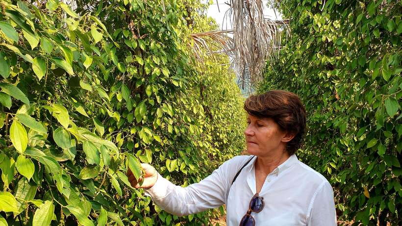From Phnom Penh: Kampot Day Trip to Beautiful place W/ Guide - Salt Fields and a Working Rural Industry