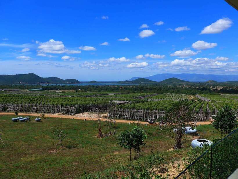 From Phnom Penh: Kampot Day Trip to Beautiful place W/ Guide - The Nine-Hour Schedule and Its Limits