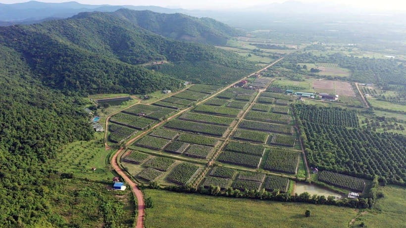 From Phnom Penh: Kampot Day Trip to Beautiful place W/ Guide - La Plantation and the Story of Kampot Pepper