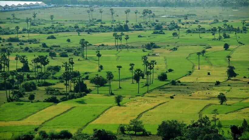 From Siem Reap: Battambang Day Trip Bamboo Train, Bats Cave - Phnom Sampeou, the caves, and Cambodia’s painful past