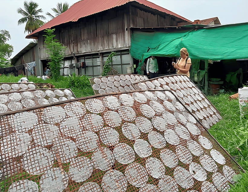 From Siem Reap: Battambang Full-Day Tour with Bamboo Train … - What the $152 price includes