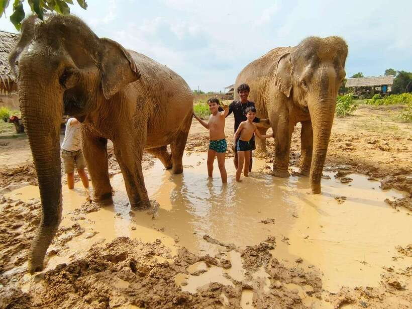 From Siem Reap: Elephant Sanctuary Experience with Transfers - Key points to know before you go