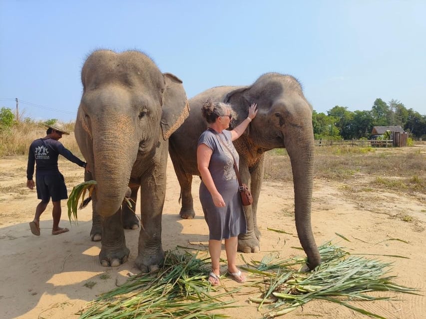 From Siem Reap: Elephant Sanctuary Experience with Transfers - Is $69 a fair price?